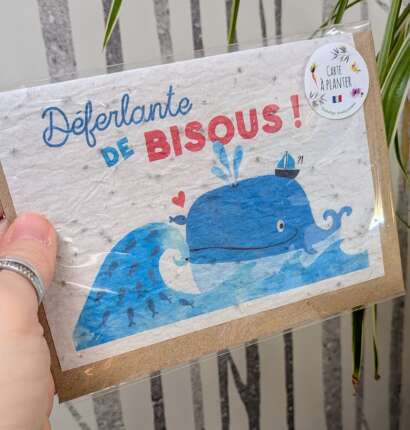 Cartes à planter Les Cartes de Lulu – Illustrées et fabriquées en Alsace 🌿