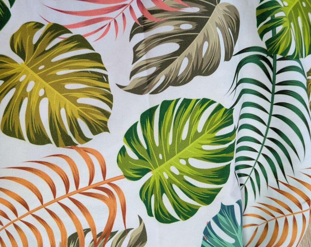 Monstera vert